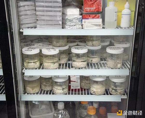 八年前梭哈Ethereum 這位加密億萬富豪為何迷上&nbsp;圖片